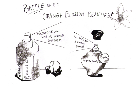 Battle of the Orange Blossom Beauties (Edited)